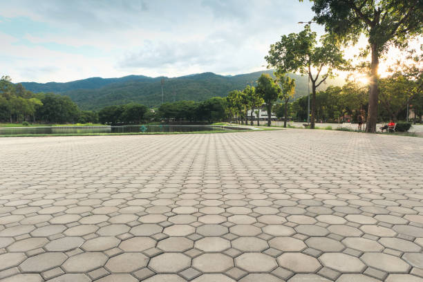 Best Professional Driveway Pavers  in Burlington, WI
